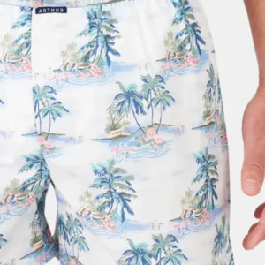 Caleçon classique Homme Hawai Bleu 1