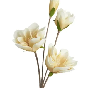 Desert 4 Bloom Magnolia Stem Yellow 41"L