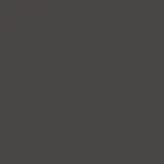 Charcoal color swatch